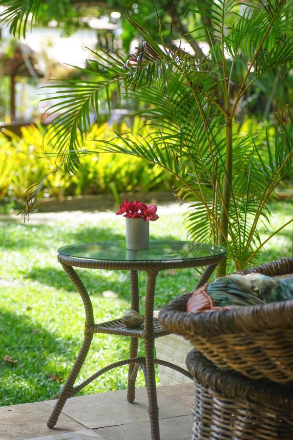 Pousada Wind Paracuru Bed & Breakfast Bagian luar foto